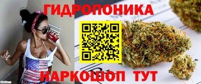 крисы Нарткала