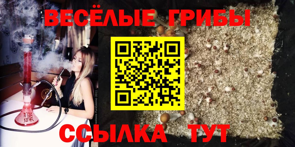 Галлюциногенные грибы Psilocybine cubensis Урай