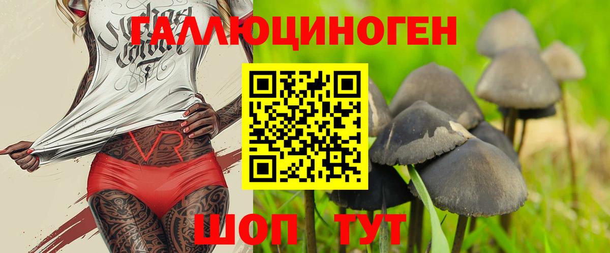 Псилоцибиновые грибы Psilocybine cubensis  Вход с VPN  Урай 